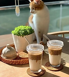 Cam 2 Adet Origami Kapaklı Bardak (2 Adet Pipet Hediyeli)