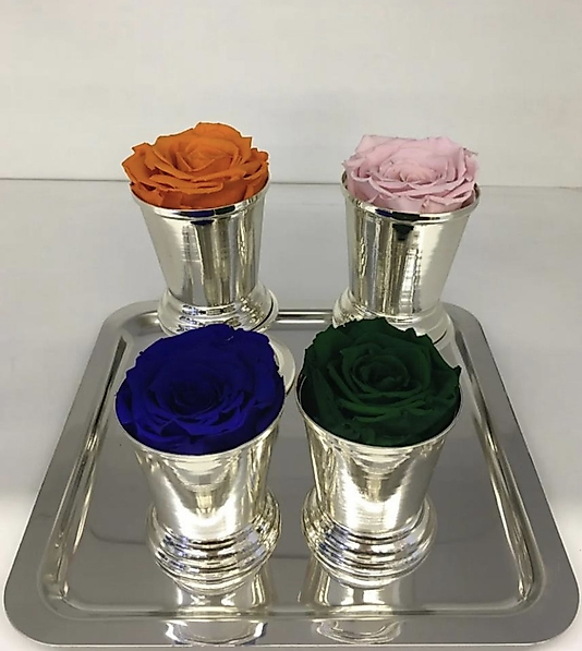 Altılı (6) Gümüş Gül Kovası