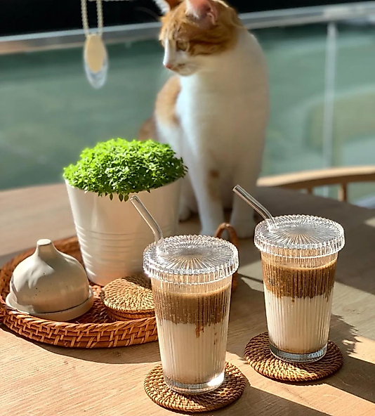 Cam 2 Adet Origami Kapaklı Bardak (2 Adet Pipet Hediyeli)